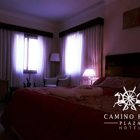 Camino Real Plaza Hotel Villa del Totoral المظهر الخارجي الصورة